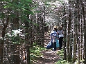 NFLD_drive_to_and-viking_settlement 1033